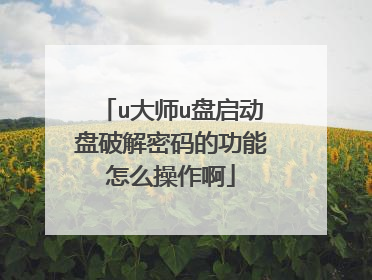 u大师u盘启动盘破解密码的功能怎么操作啊