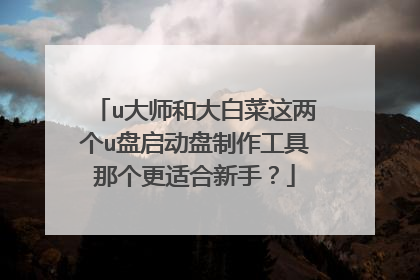 u大师和大白菜这两个u盘启动盘制作工具那个更适合新手?