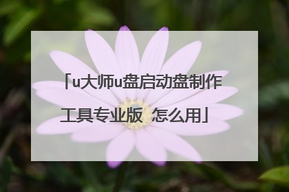 u大师u盘启动盘制作工具专业版 怎么用