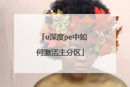 u深度pe中如何激活主分区