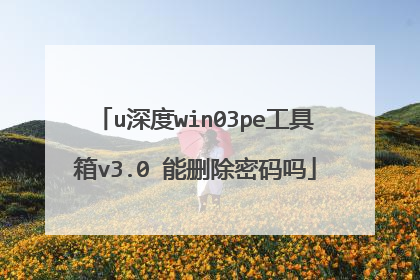 u深度win03pe工具箱v3.0 能删除密码吗
