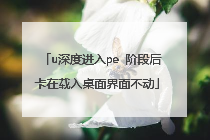 u深度进入pe 阶段后卡在载入桌面界面不动