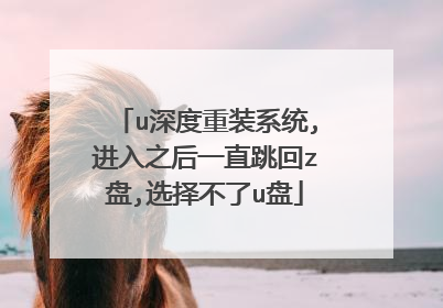 u深度重装系统,进入之后一直跳回z盘,选择不了u盘