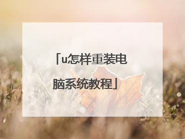 u怎样重装电脑系统教程