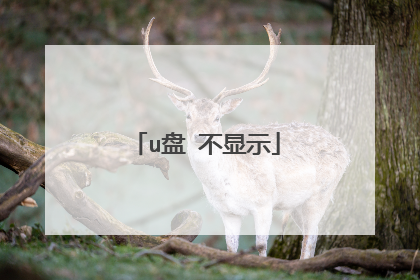 u盘 不显示