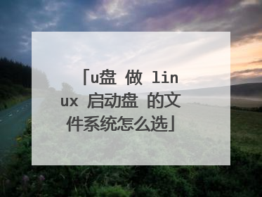 u盘 做 linux 启动盘 的文件系统怎么选