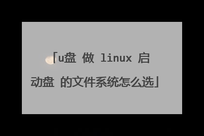 u盘 做 linux 启动盘 的文件系统怎么选