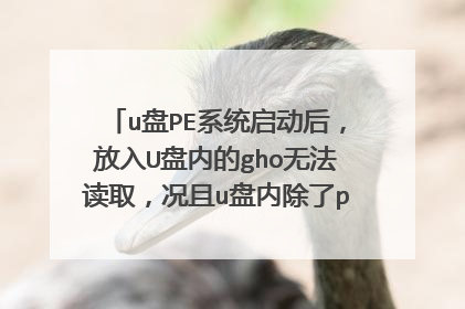 u盘PE系统启动后,放入U盘内的gho无法读取,况且u盘内除了pe系统文件 其他都文件都无法查看?