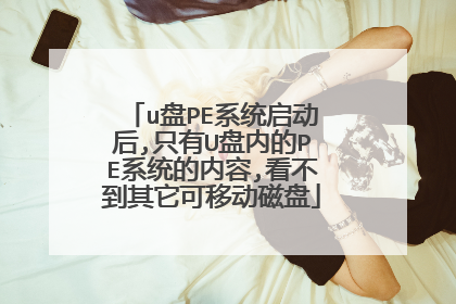 u盘PE系统启动后,只有U盘内的PE系统的内容,看不到其它可移动磁盘