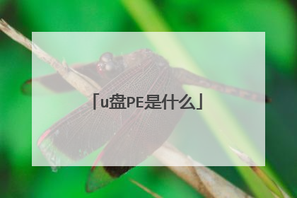u盘PE是什么