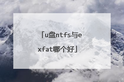u盘ntfs与exfat哪个好