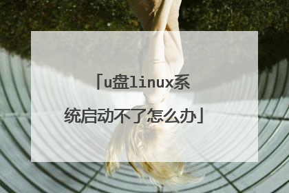 u盘linux系统启动不了怎么办