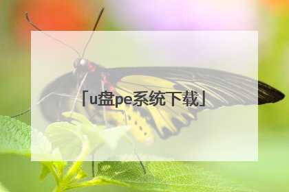 u盘pe系统下载