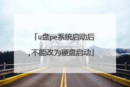u盘pe系统启动后,不能改为硬盘启动