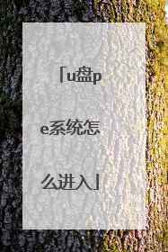 u盘pe系统怎么进入