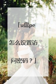u盘pe怎么设置访问密码？