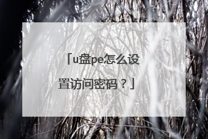 u盘pe怎么设置访问密码？