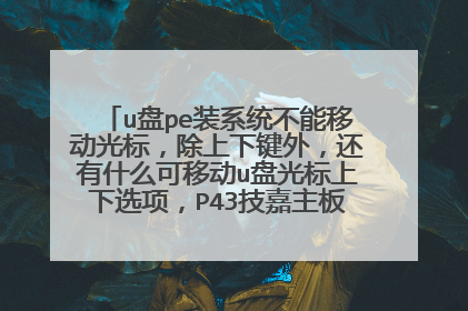 u盘pe装系统不能移动光标，除上下键外，还有什么可移动u盘光标上下选项，P43技嘉主板，u盘可启动