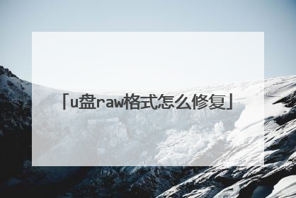 u盘raw格式怎么修复