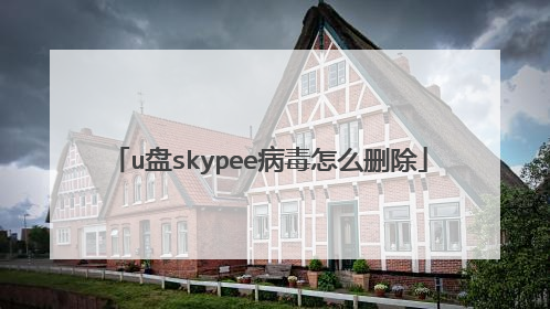 u盘skypee病毒怎么删除