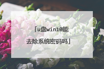 u盘win10能去除系统密码吗