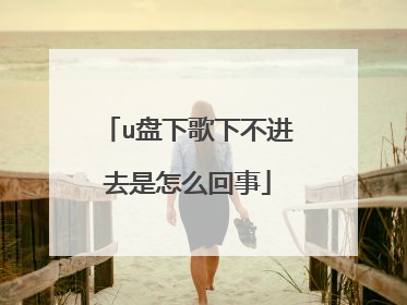 u盘下歌下不进去是怎么回事