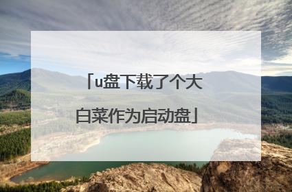 u盘下载了个大白菜作为启动盘