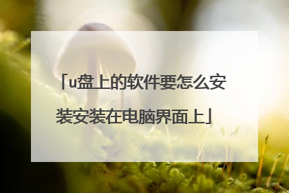 u盘上的软件要怎么安装安装在电脑界面上