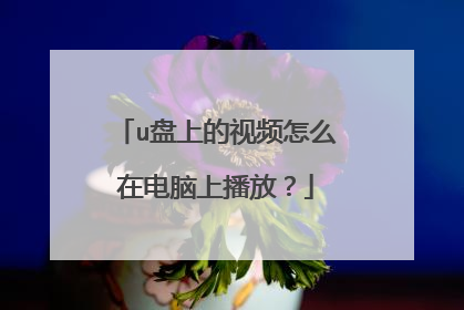 u盘上的视频怎么在电脑上播放?