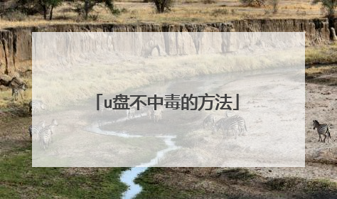 u盘不中毒的方法