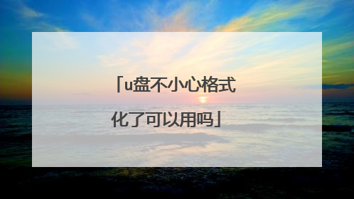 u盘不小心格式化了可以用吗