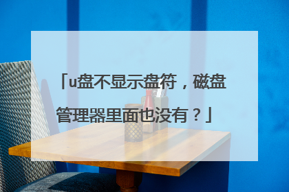 u盘不显示盘符,磁盘管理器里面也没有?