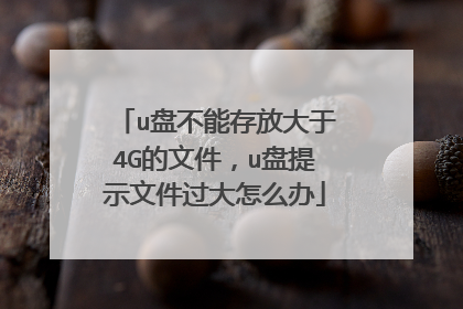 u盘不能存放大于4G的文件，u盘提示文件过大怎么办