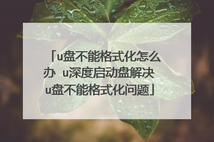 u盘不能格式化怎么办 u深度启动盘解决u盘不能格式化问题