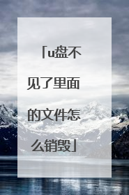 u盘不见了里面的文件怎么销毁