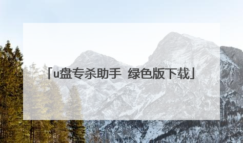 u盘专杀助手 绿色版下载