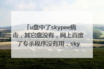 u盘中了skypee病毒，其它盘没有，网上百度了专杀程序没有用，skypee.bat由