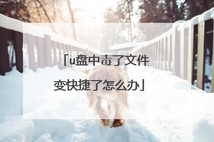 u盘中毒了文件变快捷了怎么办