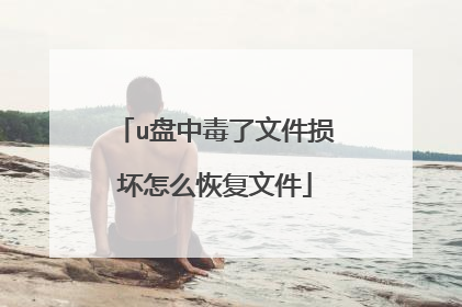 u盘中毒了文件损坏怎么恢复文件