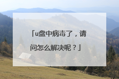 u盘中病毒了，请问怎么解决呢？