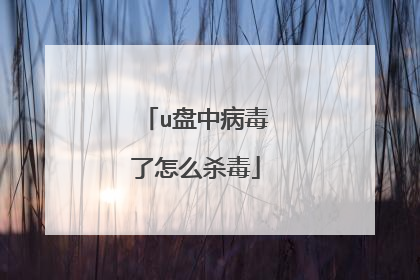 u盘中病毒了怎么杀毒
