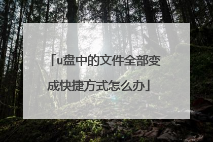 u盘中的文件全部变成快捷方式怎么办