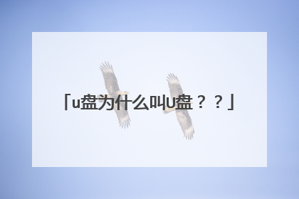 u盘为什么叫U盘??