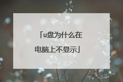 u盘为什么在电脑上不显示