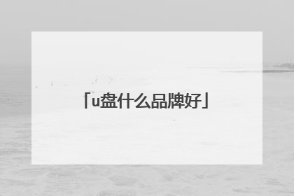 u盘什么品牌好