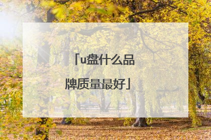 u盘什么品牌质量最好