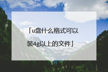 u盘什么格式可以装4g以上的文件