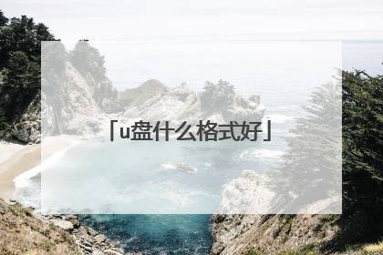 u盘什么格式好