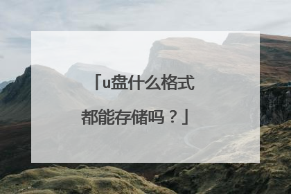 u盘什么格式都能存储吗?