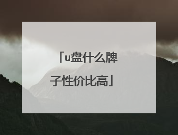 u盘什么牌子性价比高